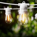 77M LED Festoon Light Outdoor String Light Christmas Wedding Party Decorations