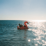 Intex Mega Flamingo Inflatable Pool Island Float 57288 - 6941057417370 Toy Chest Australia 6