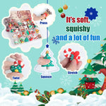 Blind Box Calendar Boxes For 2025, 24 Days Countdown Calendar Boxes, Diy Advent Calendar Boxes to Fill Gift for Adults And Kids Christmas Gift Box for Women