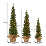 Christabelle Set of 3 Pre - Lit Christmas Trees Green Pine w/LED Lights, Hessian Base & Individual Plugs Varying Heights