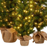 Christabelle Set of 3 Pre - Lit Christmas Trees Green Pine w/LED Lights, Hessian Base & Individual Plugs Varying Heights