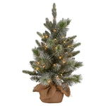 National Tree Company 61cm Pre - Lit Snowy Stamford Spruce Battery - Operated Mini Christmas Tree Multi - Functional LED Timer