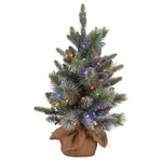National Tree Company 61cm Pre - Lit Snowy Stamford Spruce Battery - Operated Mini Christmas Tree Multi - Functional LED Timer
