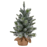 National Tree Company 61cm Pre - Lit Snowy Stamford Spruce Battery - Operated Mini Christmas Tree Multi - Functional LED Timer