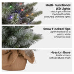 National Tree Company 61cm Pre - Lit Snowy Stamford Spruce Battery - Operated Mini Christmas Tree Multi - Functional LED Timer