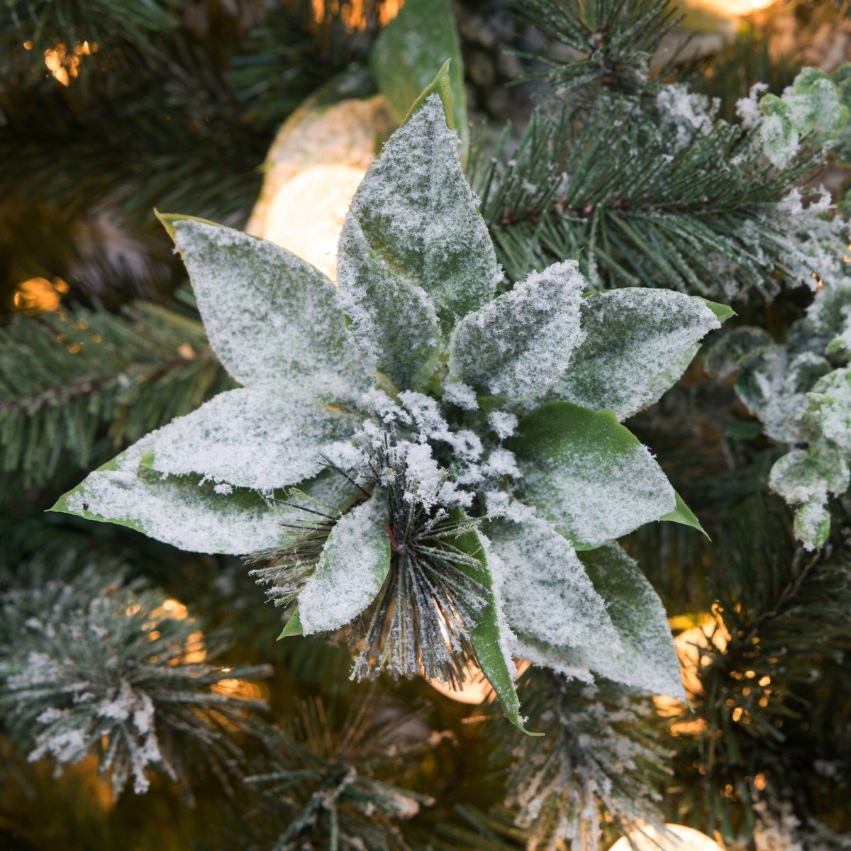 Christabelle Snowy Crown Pine 2.7m Multicolour Pre - Lit Christmas Tree with 2429 Tips