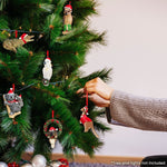 Christabelle Christmas Aussie Animals Pack of 6 Baubles Tree Decoration Ornaments Gift Pack