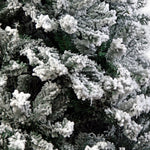 Christabelle Snow - Tipped Artificial Christmas Tree 1.8m - 850 Tips