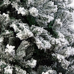 Christabelle Snow - Tipped Artificial Christmas Tree 2.4m 1500 Tips