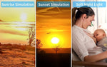 Sunrise Alarm Clock Wake Up Light 7 Sounds, Dual Alarms, Snooze, FM Radio - 9331816489514 Toy Chest Australia 3