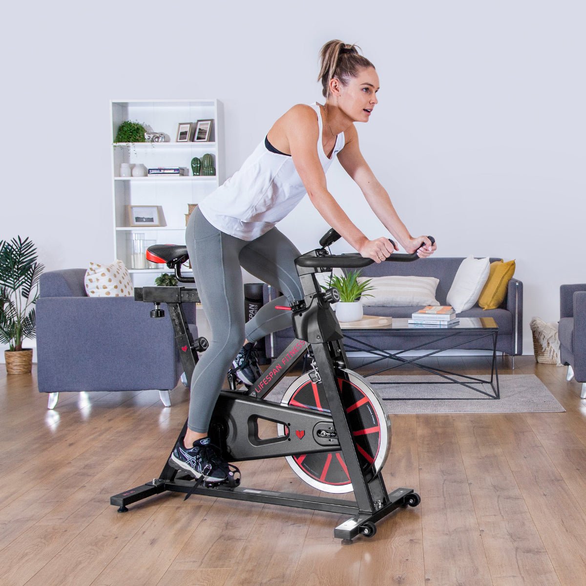 Lifespan Fitness SP - 310 M2 Lifespan Fitness Spin Bike