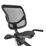 Lifespan Fitness RC - 81 Recumbent Bike