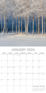 Beauty of Trees 2024 Square Wall Calendar 16 Month Floral Planner Christmas Gift
