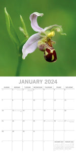 Orchids 2024 Square Wall Calendar 16Month Floral Planner Christmas New Year Gift