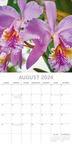 Orchids 2024 Square Wall Calendar 16Month Floral Planner Christmas New Year Gift