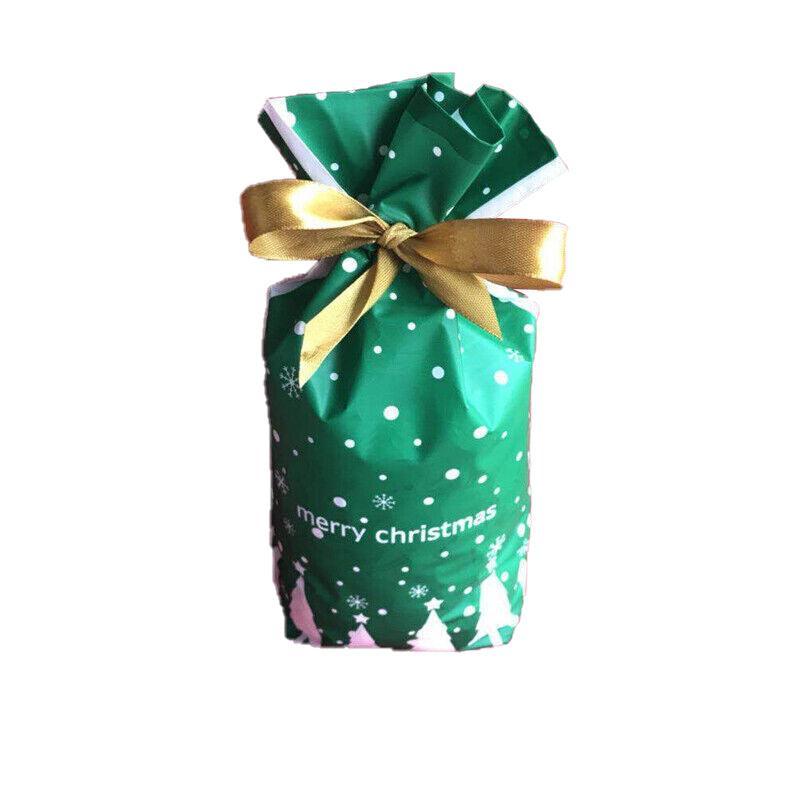 10pcs Christmas Candy Bags Gift Treat Drawstring Pouches Biscuit Cookie Packaging - 10Pcs Bag - Merry Christmas