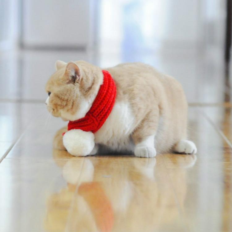 Pet Christmas Wool Scarf Dog Saliva Towel - Size S