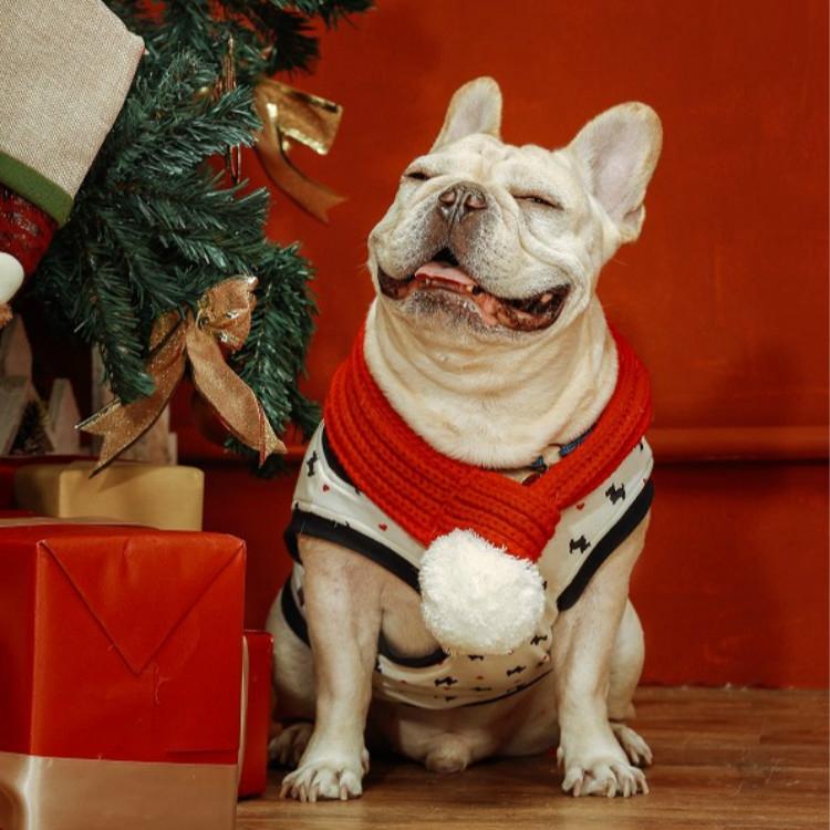 Pet Christmas Wool Scarf Saliva Towel - Size L