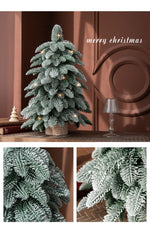 55cm Frosted Mini Christmas Tree – Snow - Covered Indoor Holiday Decoration