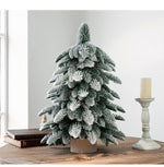 55cm Frosted Mini Christmas Tree – Snow - Covered Indoor Holiday Decoration