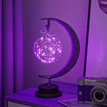 LED Multi - Shape Decorative Lights Purple Star, Moon, Apple USB Night Lights with Handmade Hemp Rope, Warm Iron Craft, Perfect Birthday & Christmas Gift