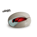 Collegien Slipper - Agrippine 28 - 29 - '3142253209759 Toy Chest Australia 5