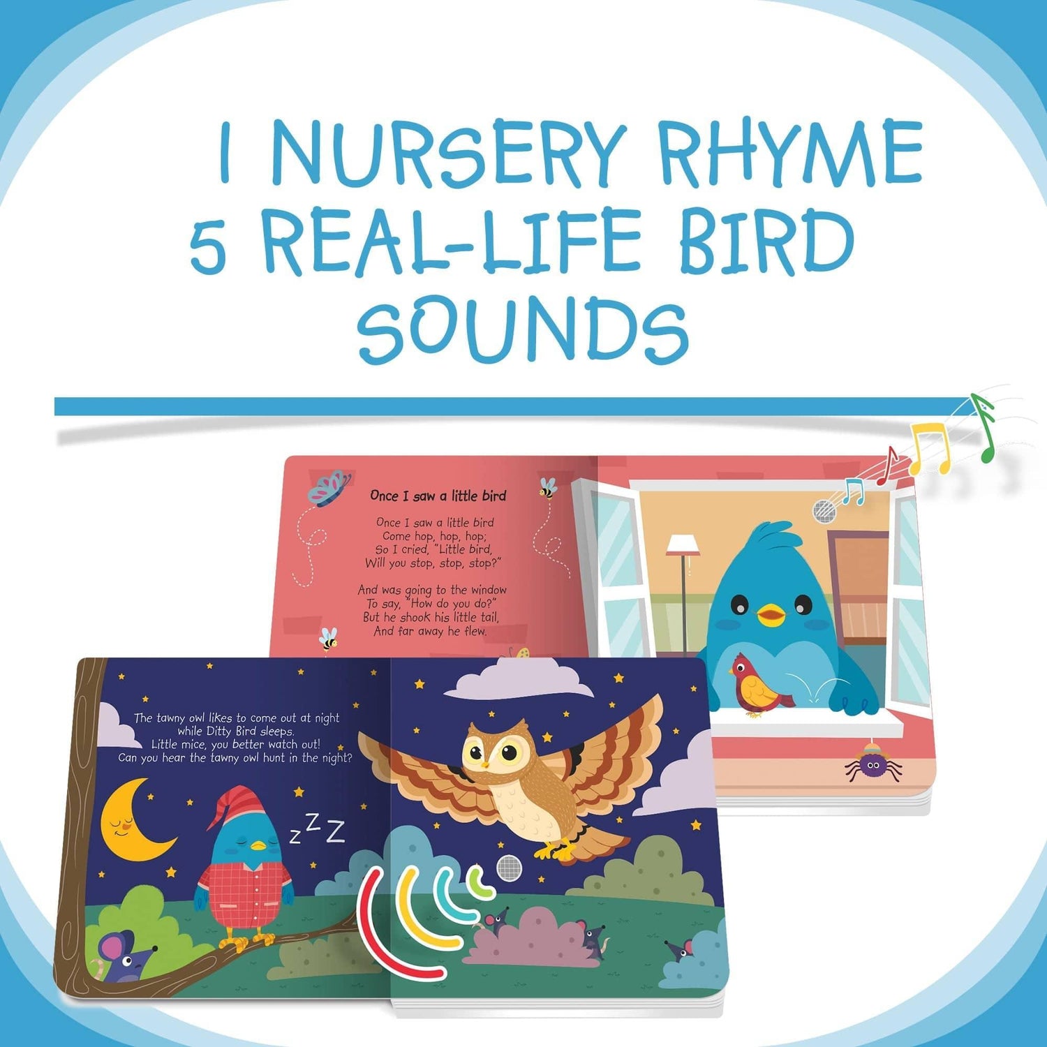 Ditty Bird - Bird Songs - '9356877161438 Toy Chest Australia 2