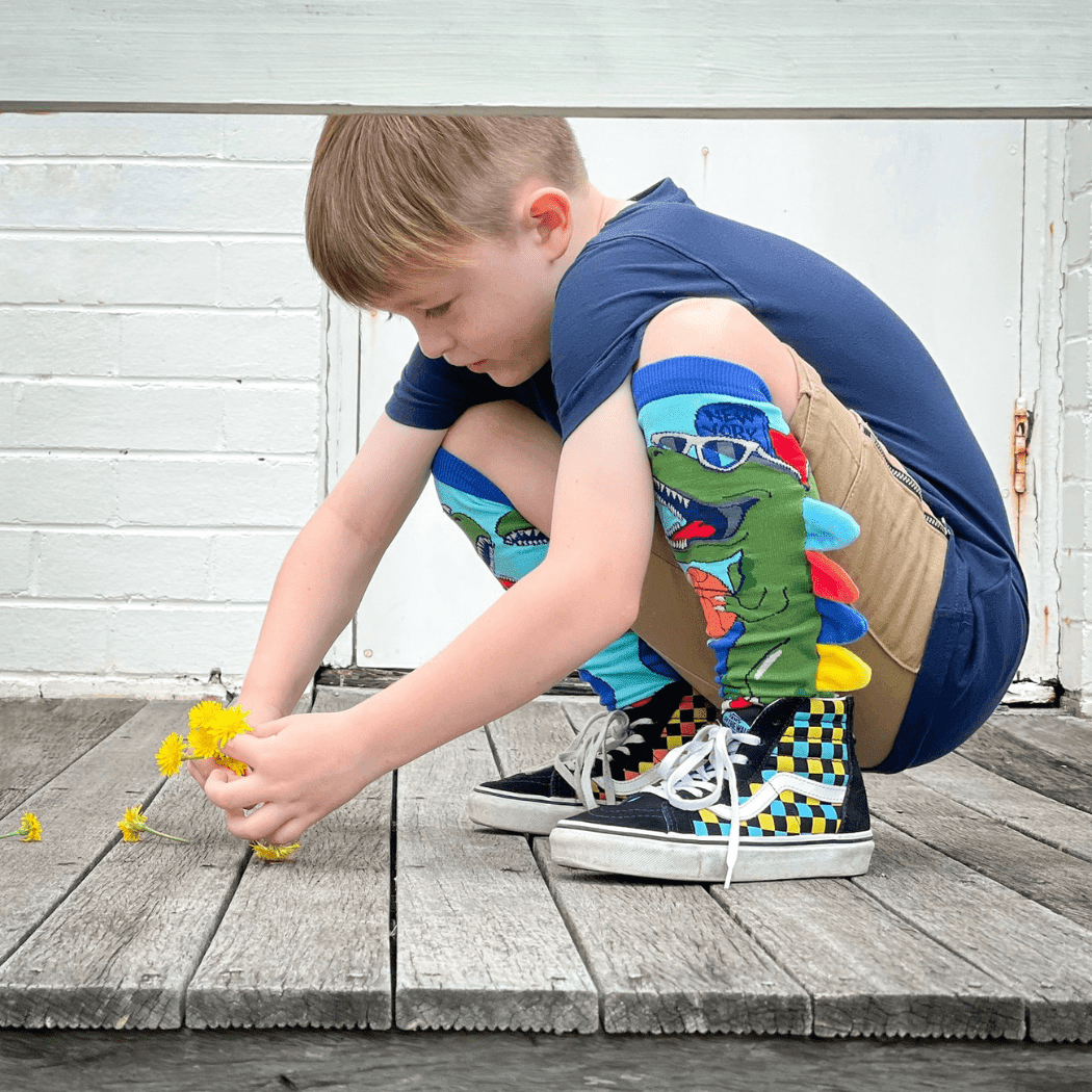 MADMIA Dinosaur Socks With Spikes Kids & Adults Age 6 - 99