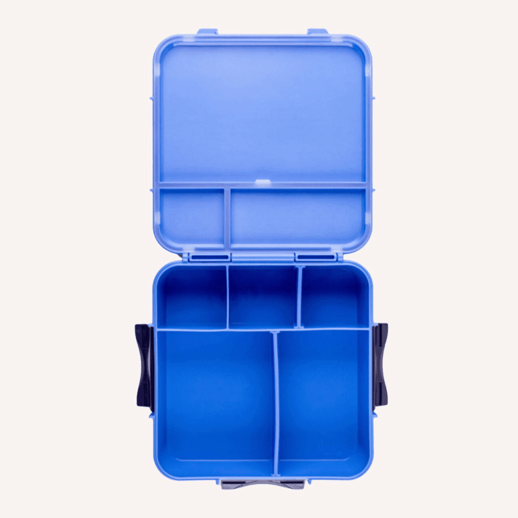 MONTII.CO Bento Plus | Blueberry - '0725330911306 Toy Chest Australia 1