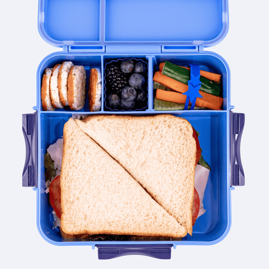 MONTII.CO Bento Plus | Blueberry - '0725330911306 Toy Chest Australia 2