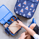 MONTII.CO Bento Plus | Blueberry - '0725330911306 Toy Chest Australia 4