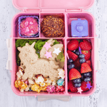 MONTII.CO Bento Plus | Blush Pink - '0724049808792 Toy Chest Australia 3