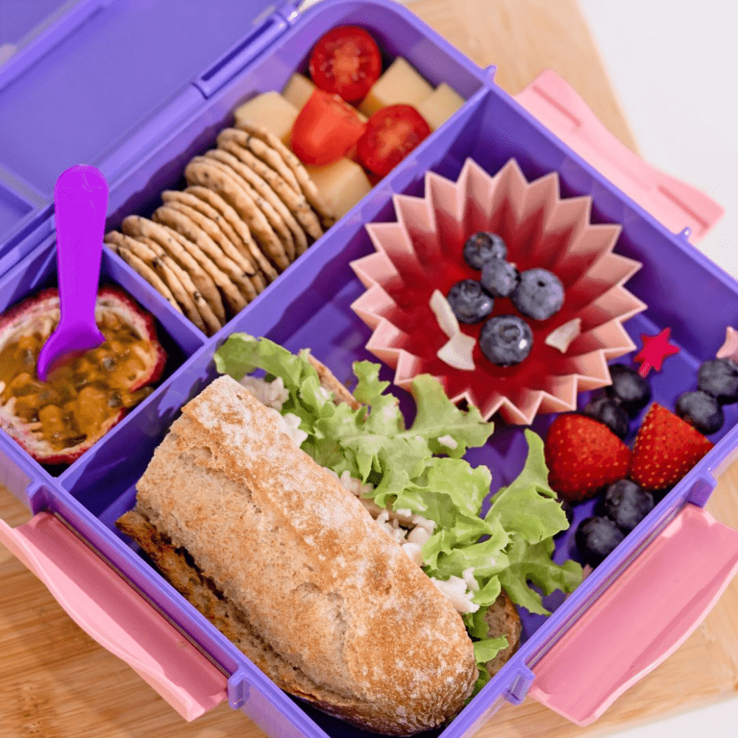 MONTII.CO Bento Plus | Grape - '0725330911320 Toy Chest Australia 3