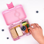 MONTII.CO Lunch Punch Sandwich Cutters | Mini Bites - '0647356923531 Toy Chest Australia 3