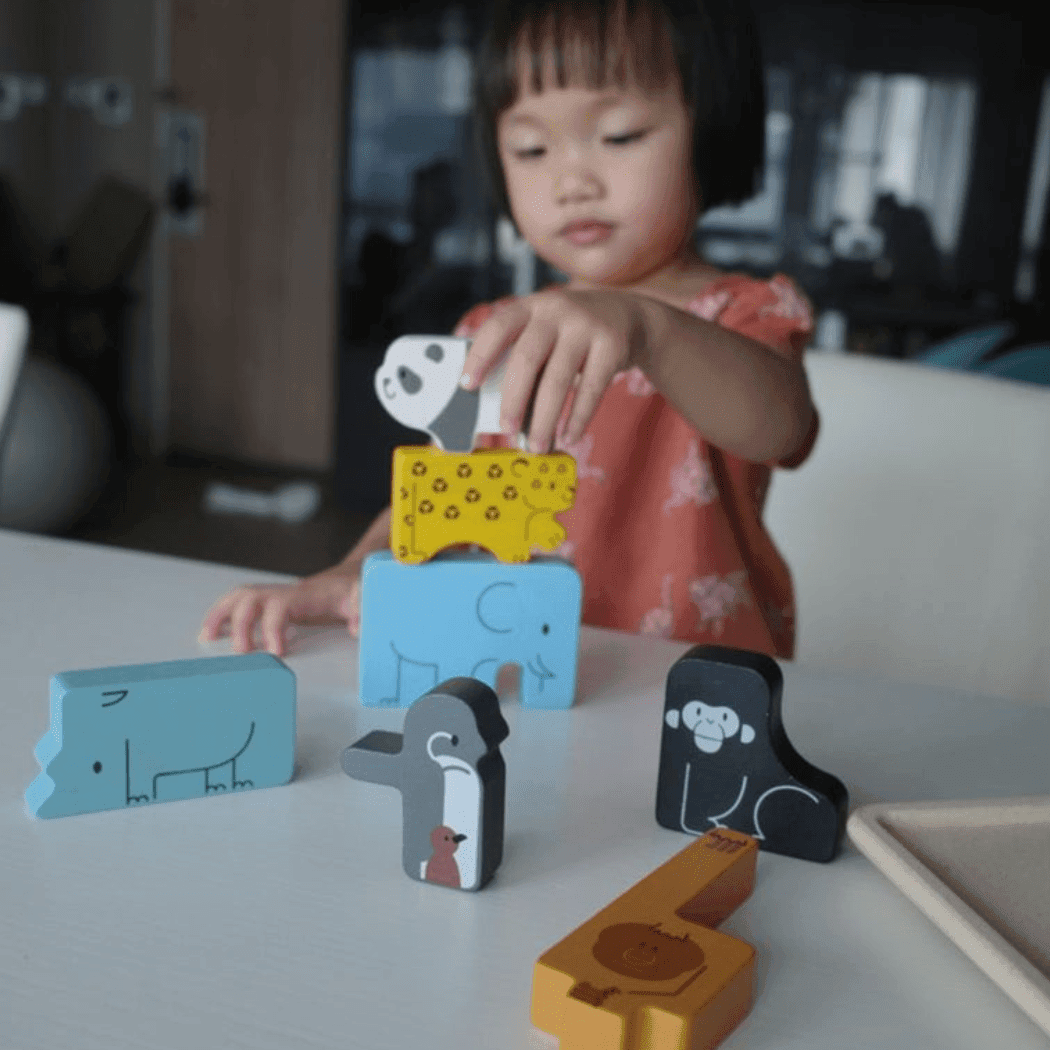 Plan Toys Animal Puzzle Game - '8854740046444 Toy Chest Australia 5