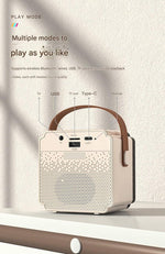 Blue Fun Portable Party Speaker - Karaoke Machine with Two Wireless Microphones and Voice Effects