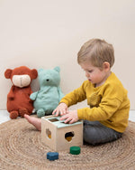 Trixie Wooden Shape Sorter - '5400858361561 Toy Chest Australia 4